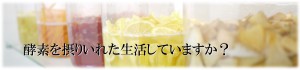 酵素ジュース作り